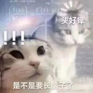 Java后端